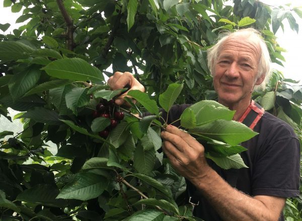 Æblemanden Karensminde Frugtplantage