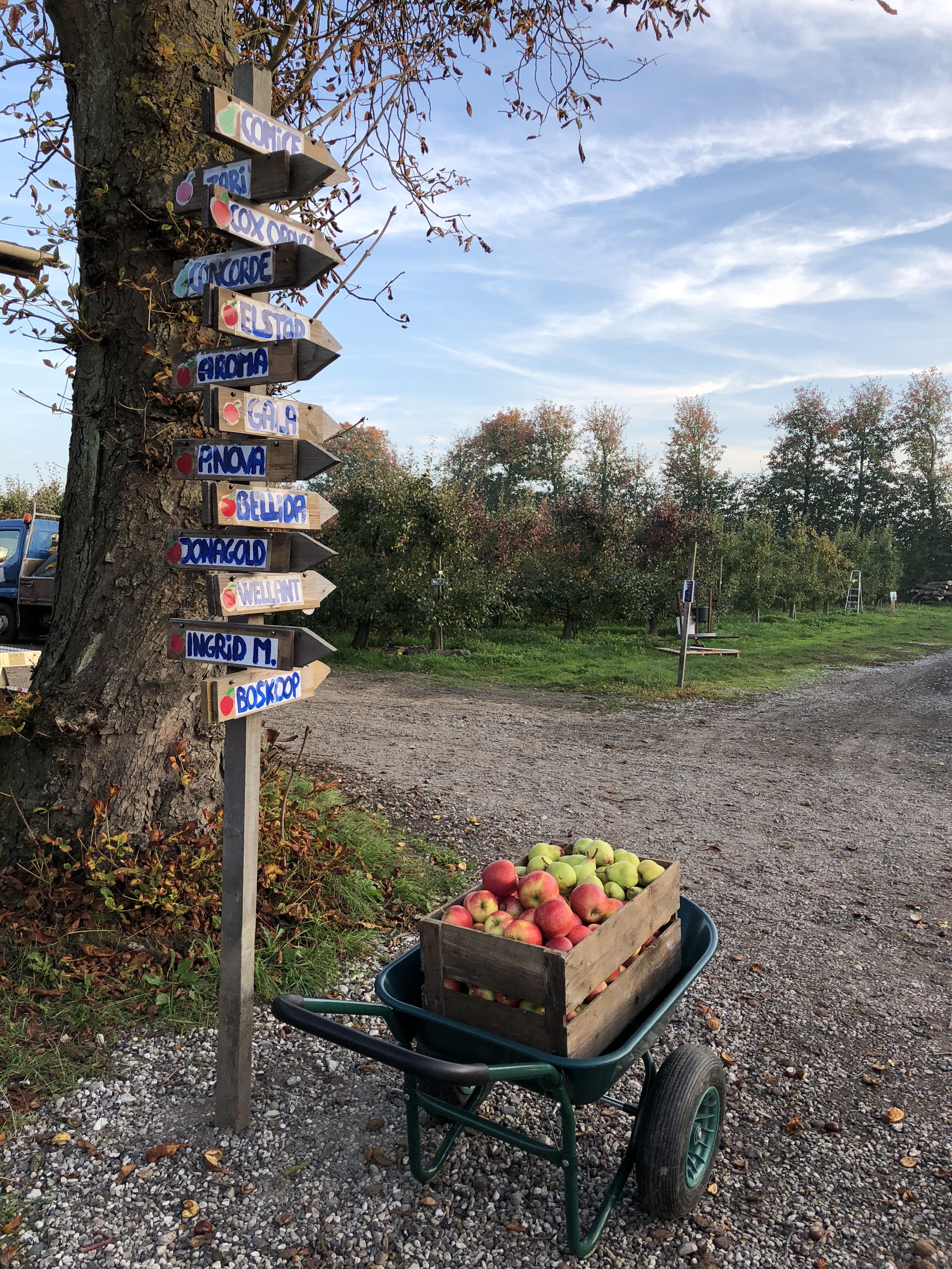 Pick your own and fruit farm shop